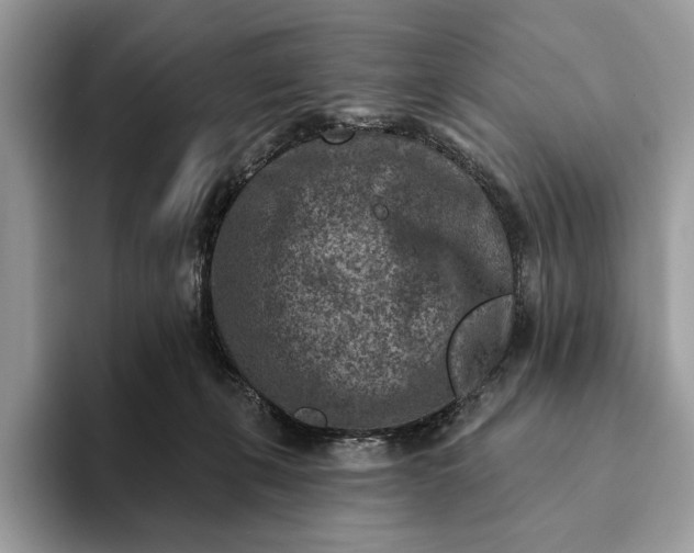 X0000093170271200710171233