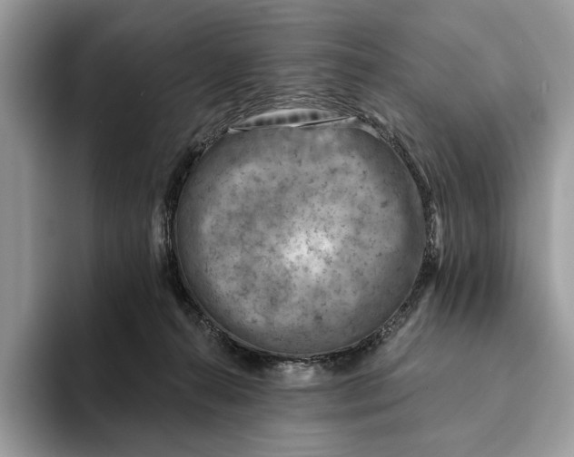 X0000093170272200710171233