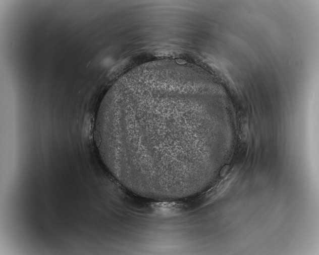 X0000093170273200710171233