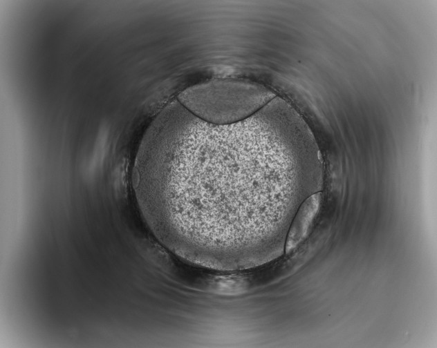 X0000093170275200710171233