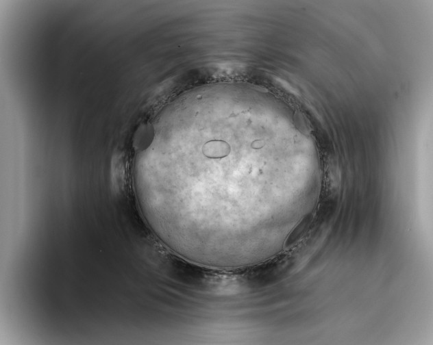 X0000093170276200710171233