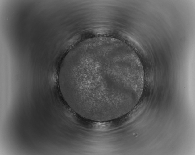 X0000093170277200710171233