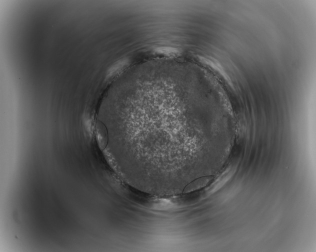 X0000093170285200710171234