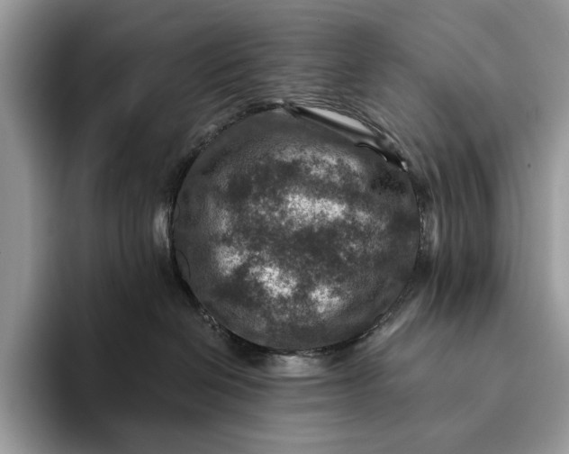 X0000093170286200710171234