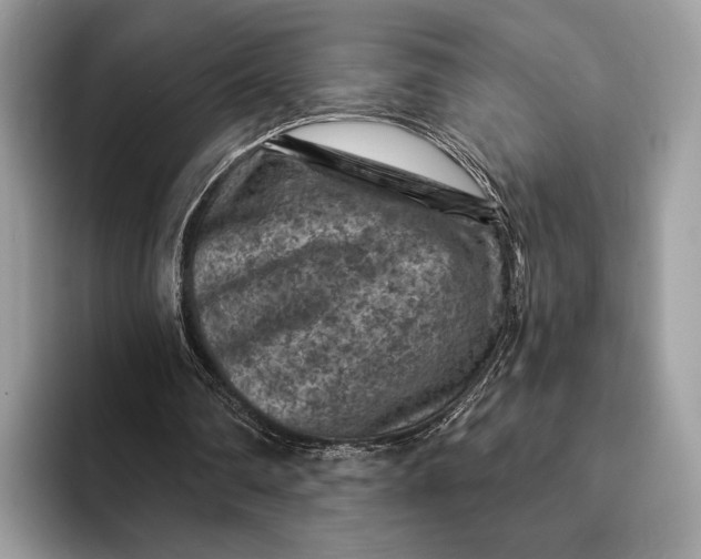 X0000093170290200710171233