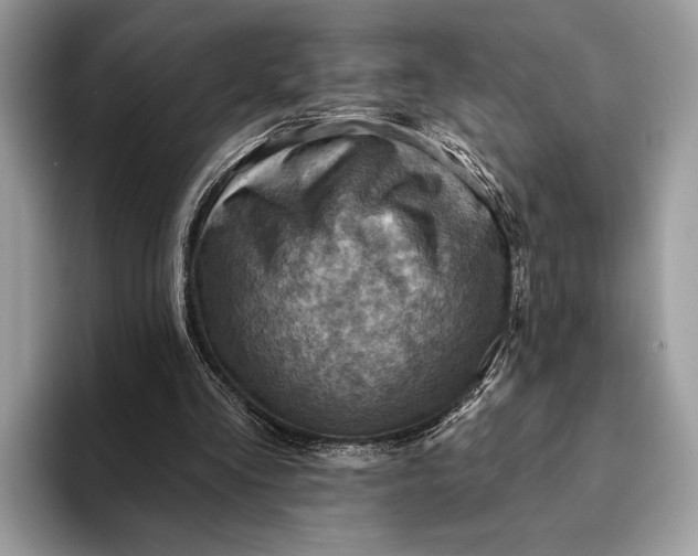 X0000093170293200710171233