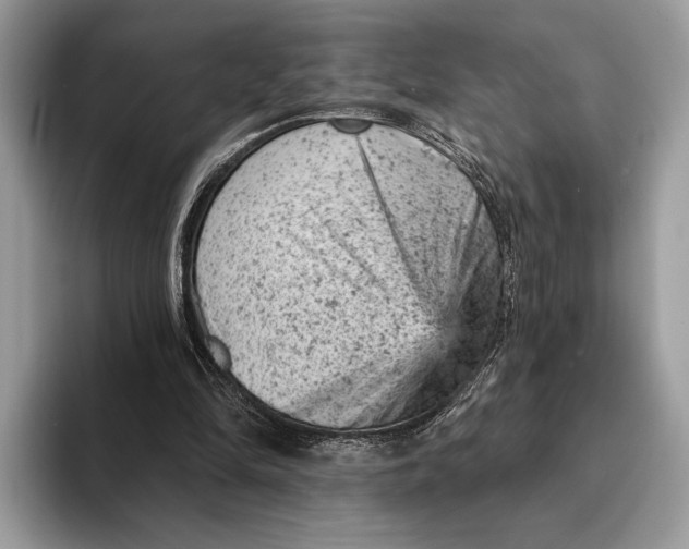 X0000093170294200710171233