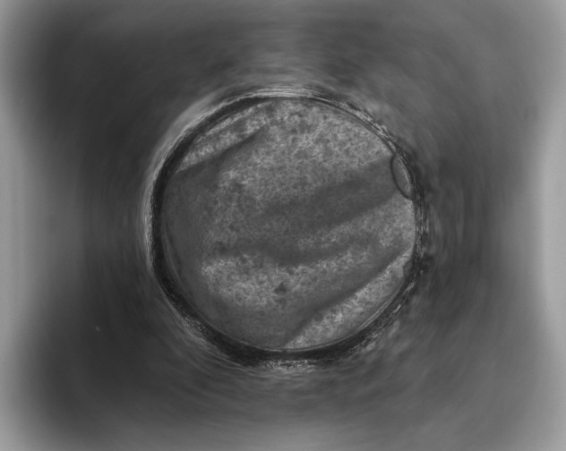 X0000093170296200710171233