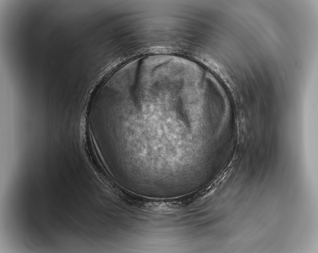 X0000093170297200710171233