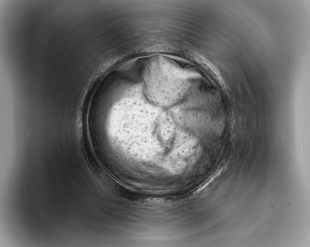 X0000093170298200710171233