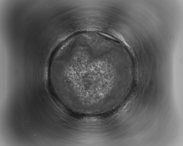 X0000093170299200710171233