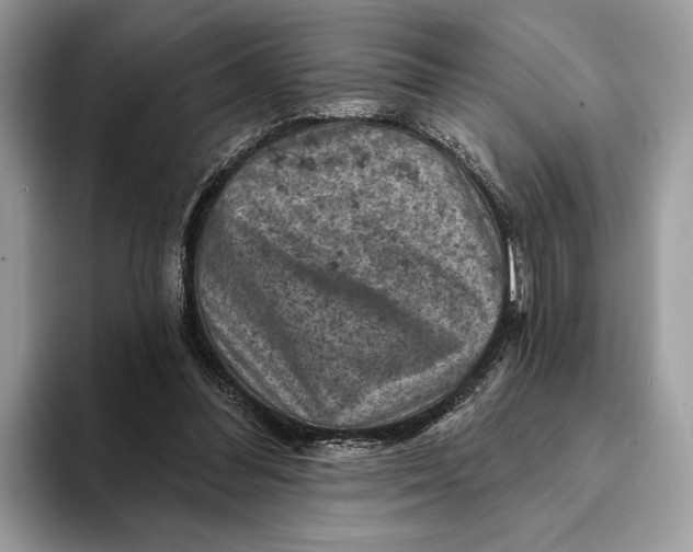 X0000093170300200710171233