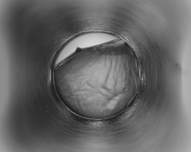 X0000093170301200710171233