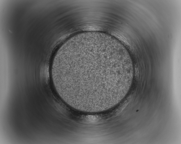 X0000093170302200710171233