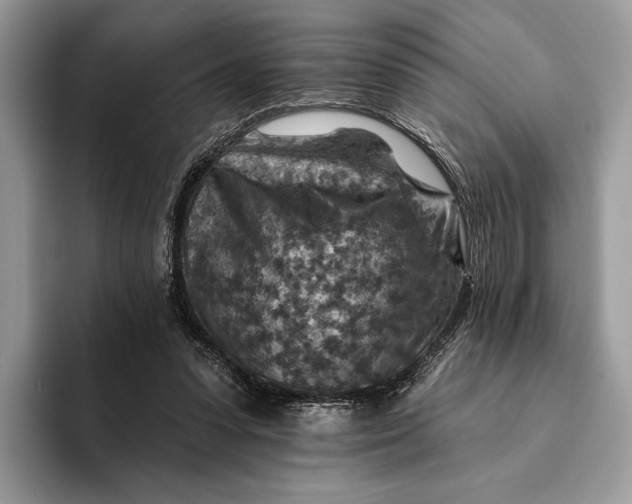 X0000093170303200710171233