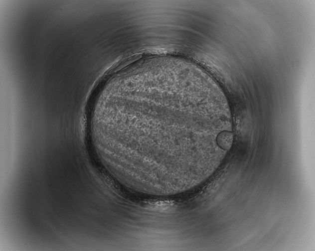 X0000093170304200710171233