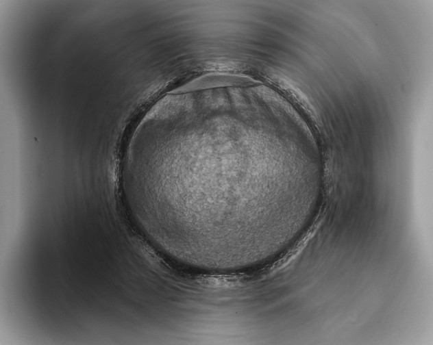 X0000093170305200710171233