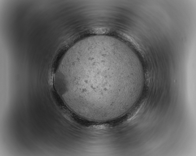 X0000093170307200710171233