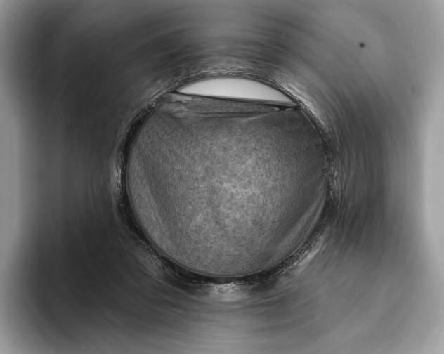 X0000093170309200710171233