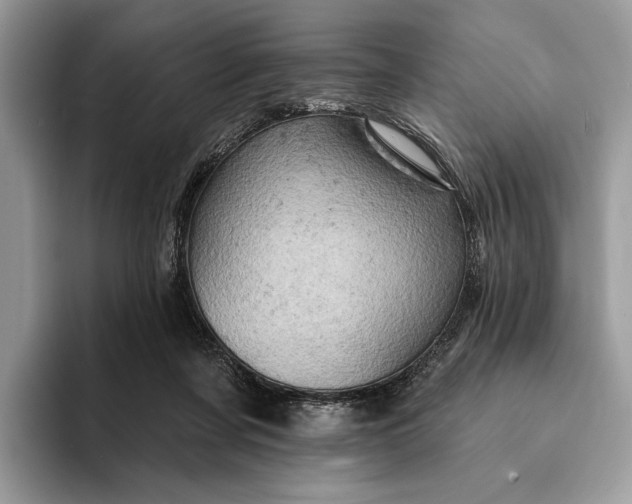 X0000093170311200710171233