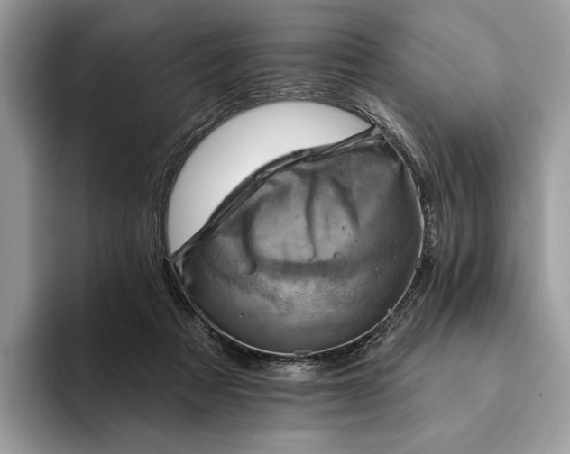 X0000093170313200710171233