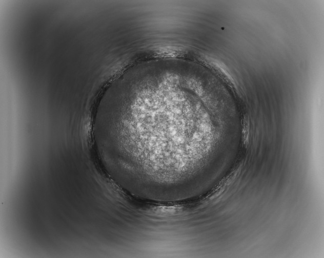 X0000093170314200710171233