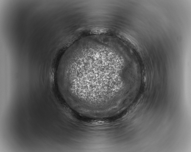 X0000093170315200710171233