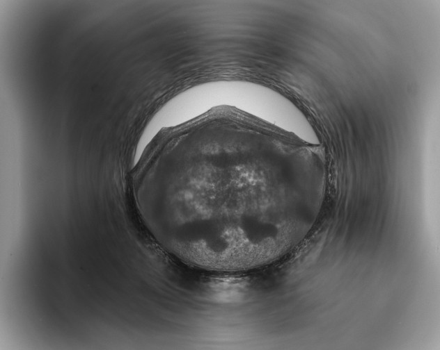 X0000093170319200710171233