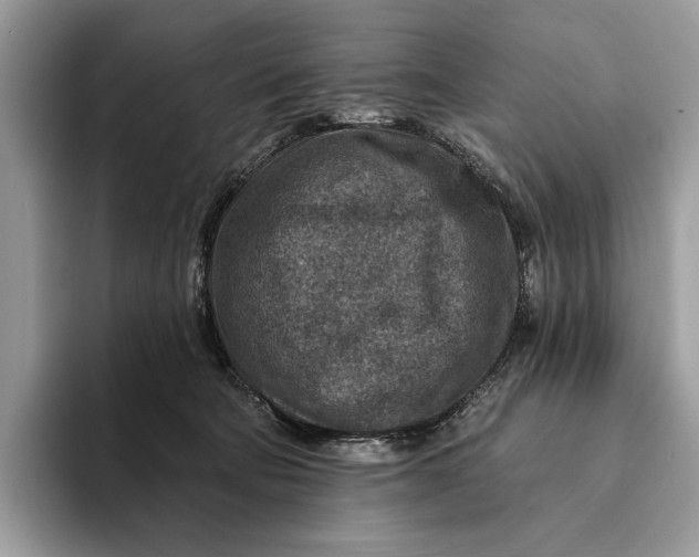 X0000093170322200710171233