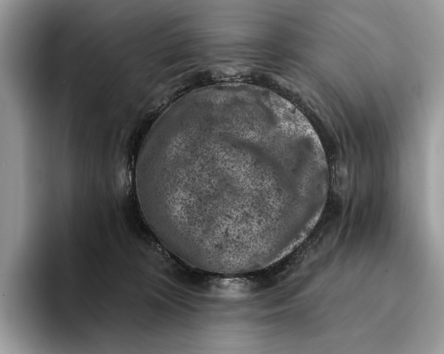 X0000093170324200710171233