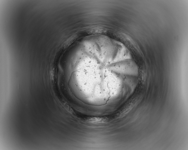 X0000093170326200710171233