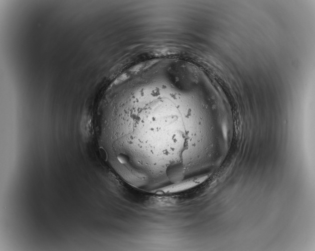 X0000093170327200710171233