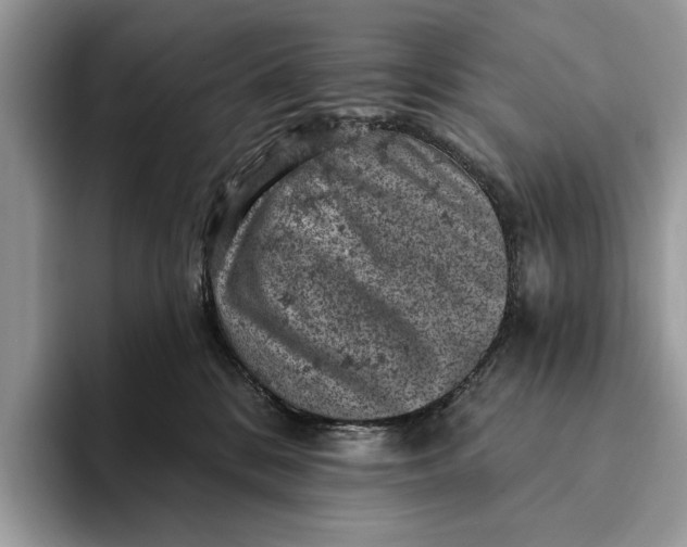 X0000093170328200710171233