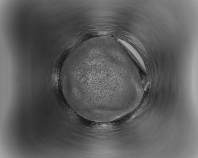 X0000093170329200710171233