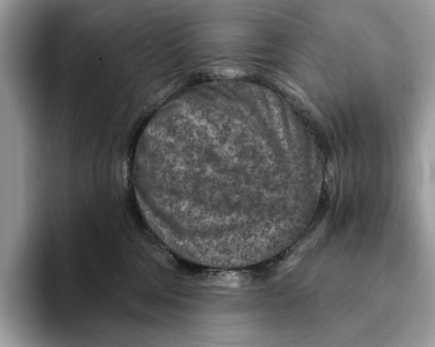 X0000093170330200710171233