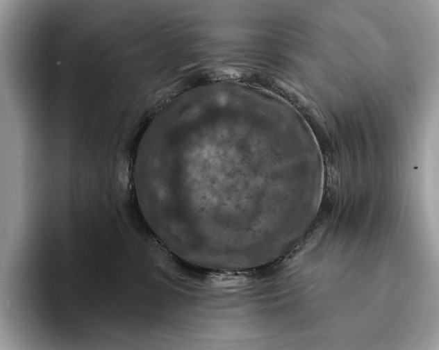 X0000093170331200710171233