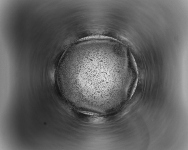 X0000093170334200710171232