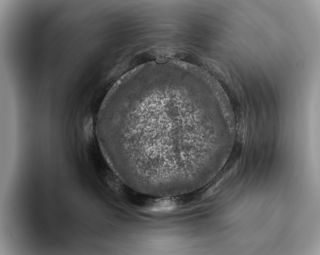 X0000093170335200710171232