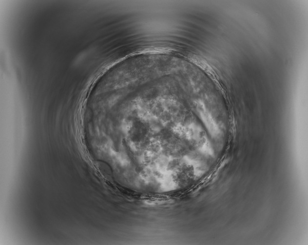 X0000093170337200710171232