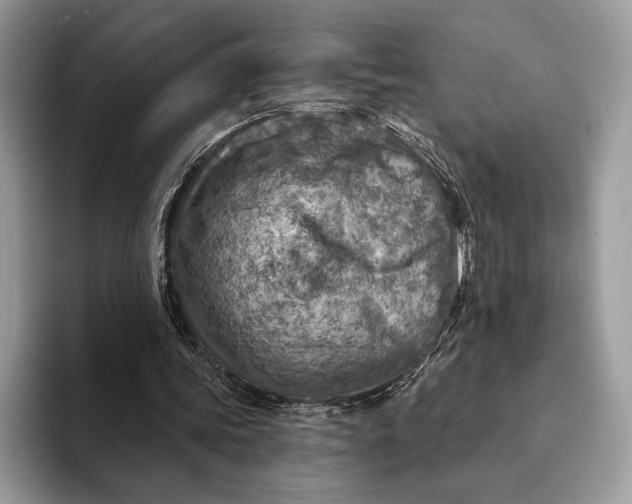 X0000093170339200710171232