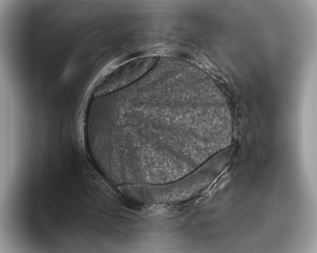 X0000093170341200710171232