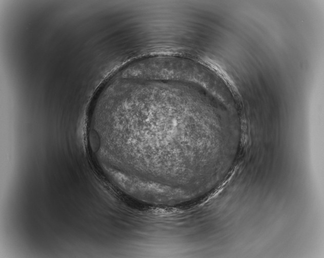 X0000093170346200710171232