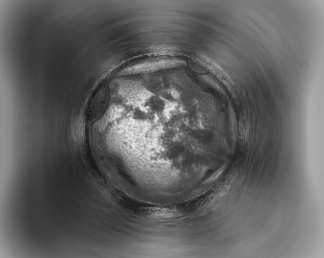 X0000093170347200710171232