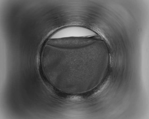 X0000093170348200710171232