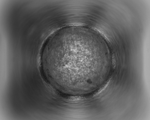 X0000093170351200710171232