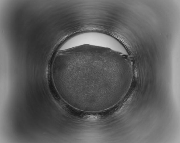 X0000093170352200710171232