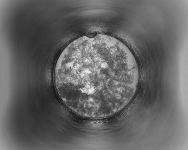 X0000093170353200710171232