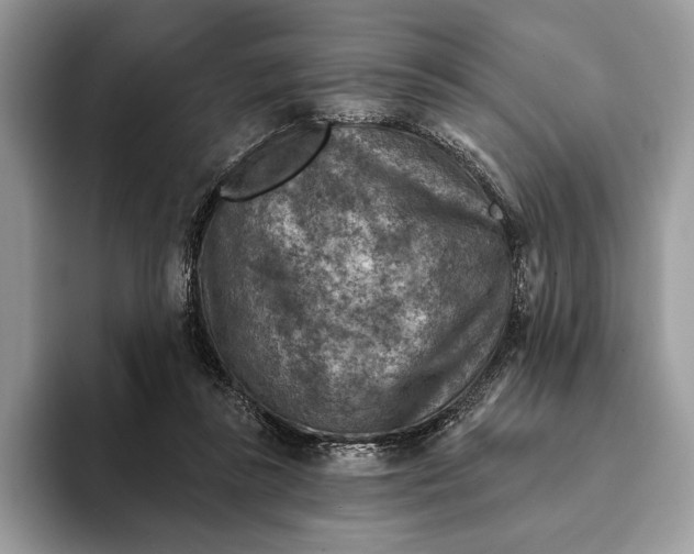 X0000093170355200710171232