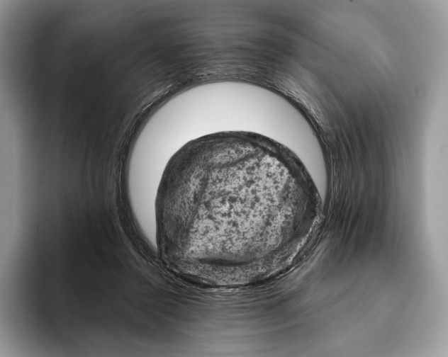 X0000093170356200710171232