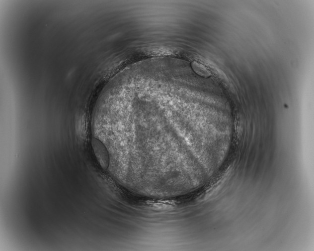 X0000093170359200710171232